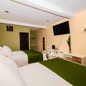 Habitación 9 - Arce