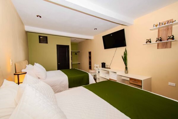 Habitación 7 - Cedro - Imagen 7