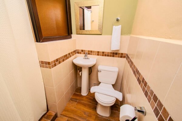 Habitación 7 - Cedro - Imagen 15